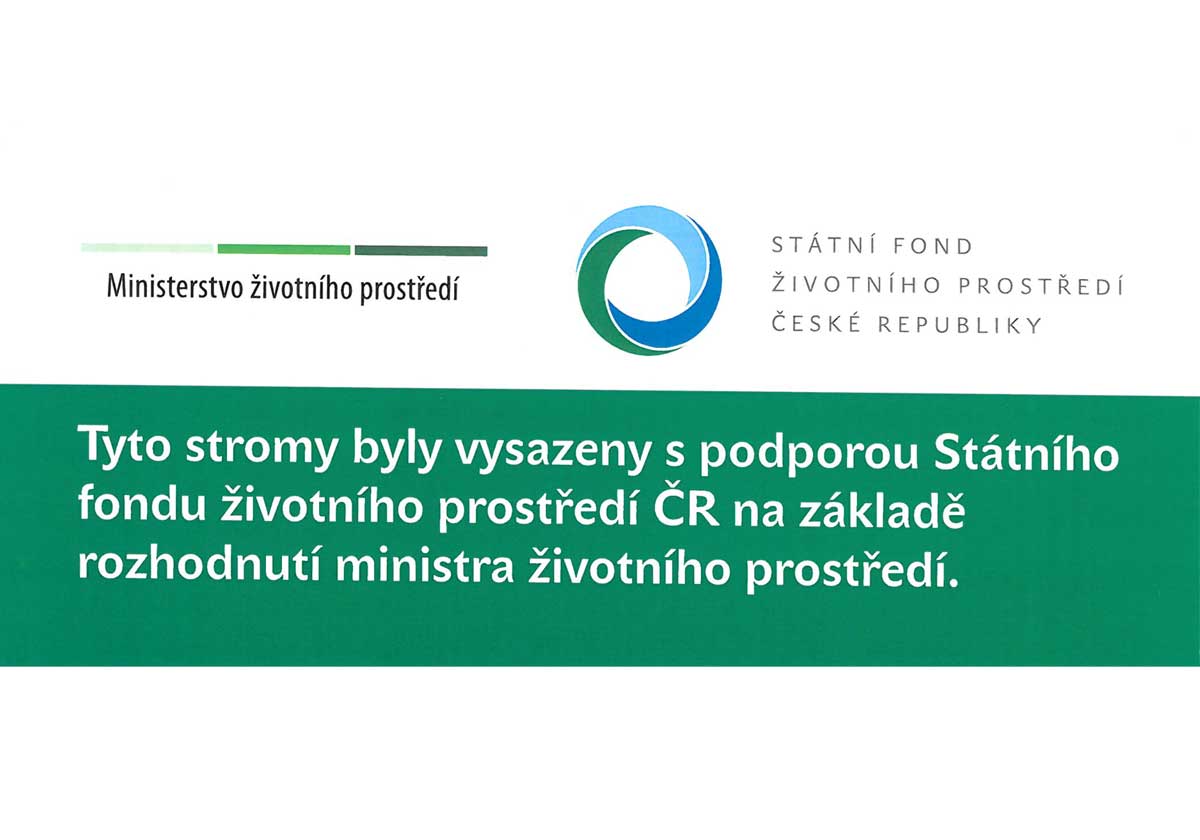 Zobrazit obrázek: Sokolský park - výsadba zeleně