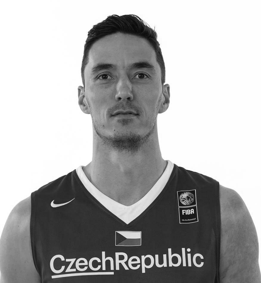 Zobrazit obrázek: Welsch Jiri